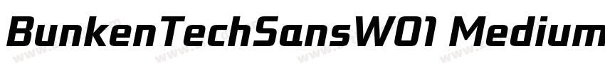 BunkenTechSansW01 MediumIt字体转换 BunkenTechSansW01 MediumIt字体转换